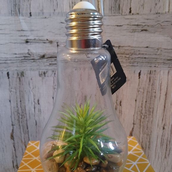 Homedeco Light Up Terrarium - Picture 5 of 5